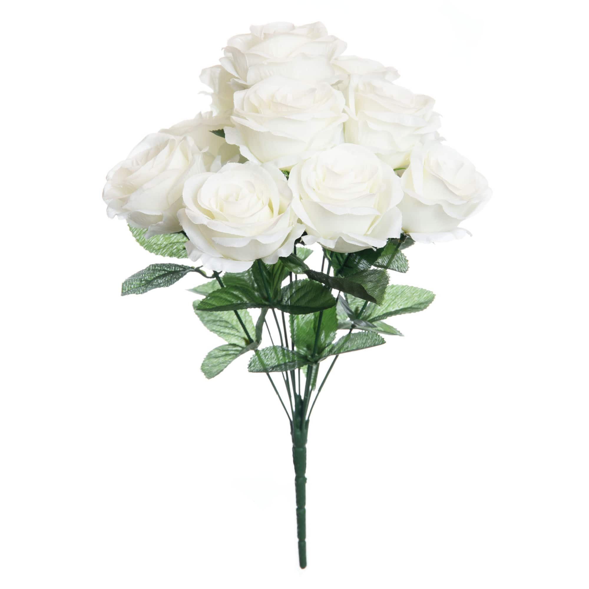 Cream Rose Bush by Ashland®